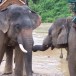 Chiang Mai